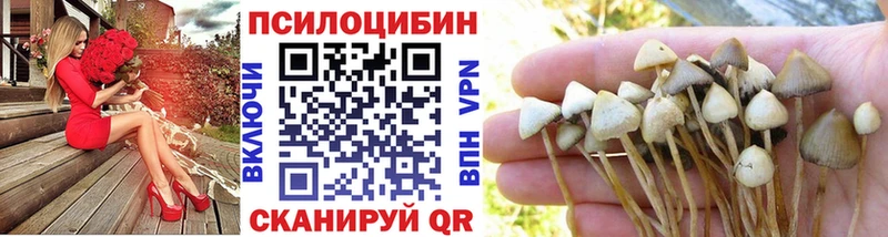 Псилоцибиновые грибы Magic Shrooms Купить где Кропоткин